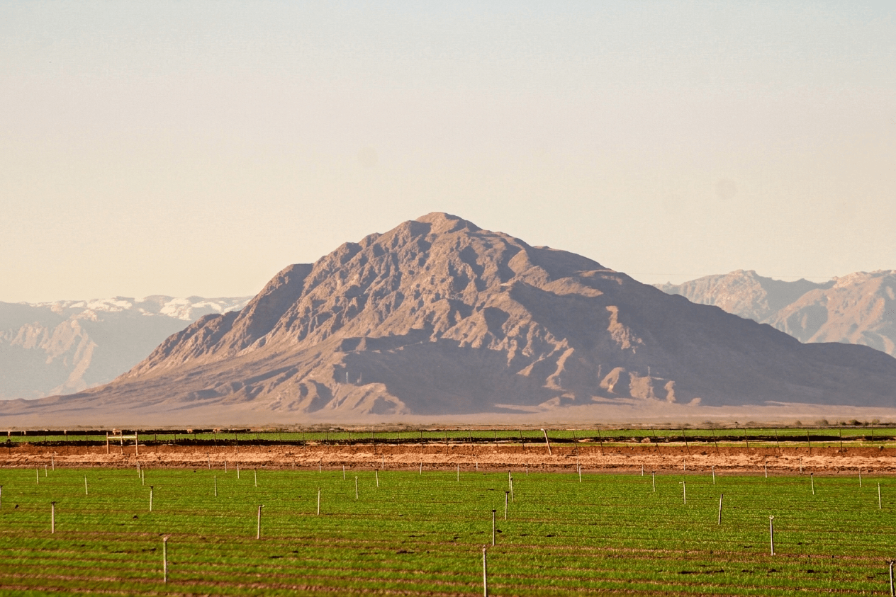 Cerro El Centinela: ascenso exigente con vistas de 360 grados en Mexicali Cerro El Centinela en Mexicali con antenas en la cima, terreno rocoso desértico y cielo despejado