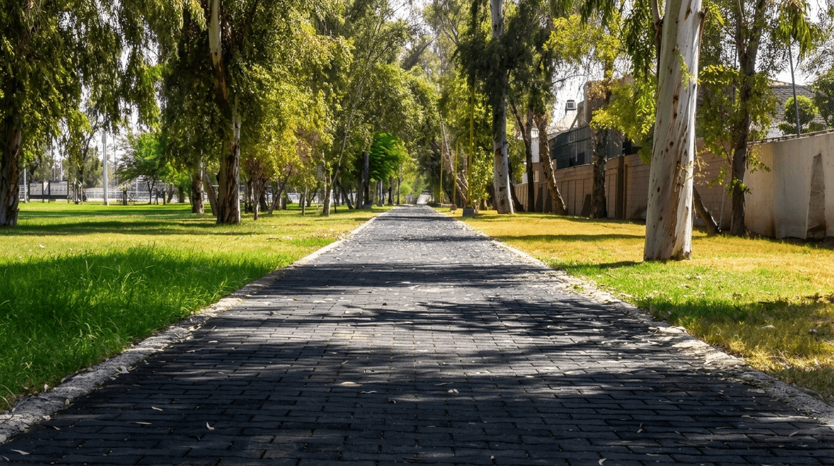 Andador adoquinado y arbolado para caminar y trotar dentro de la Ciudad Deportiva de Mexicali